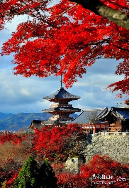 日本秋天『楓葉』  World Trave...欧美