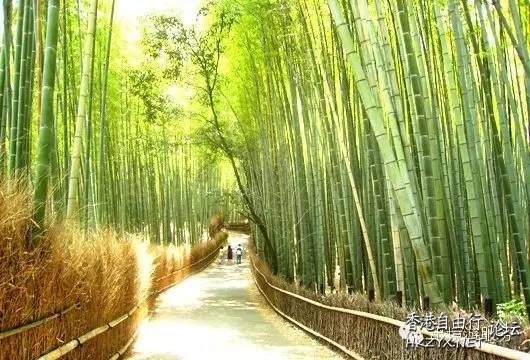竹之舞技   Landscape 山水湖林