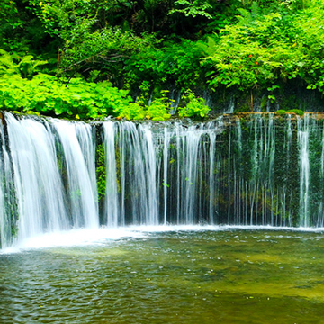    Landscape 山水湖林