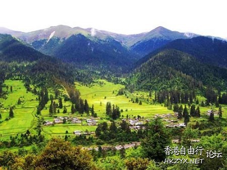 西藏：龙王谷——鲁朗  ChinaTravel 中國觀光景點