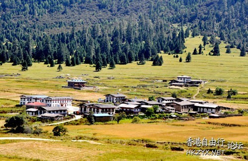 西藏：龙王谷——鲁朗  ChinaTravel 中國觀光景點