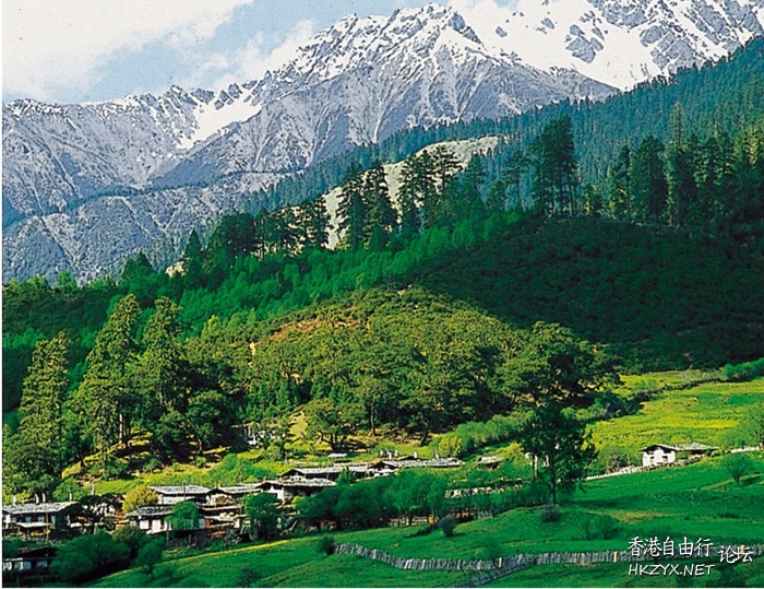 西藏：龙王谷——鲁朗  ChinaTravel 中國觀光景點
