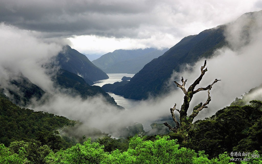 西藏：龙王谷——鲁朗  ChinaTravel 中國觀光景點
