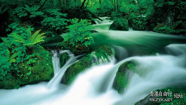    Landscape 山水湖林