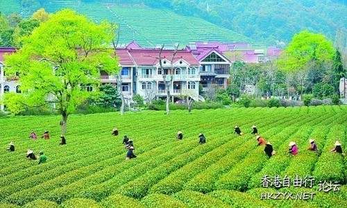 西湖尋秘境 沉醉不知歸  ChinaTravel 中國觀光景點