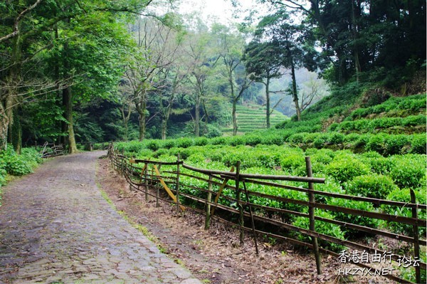 西湖尋秘境 沉醉不知歸  ChinaTravel 中國觀光景點