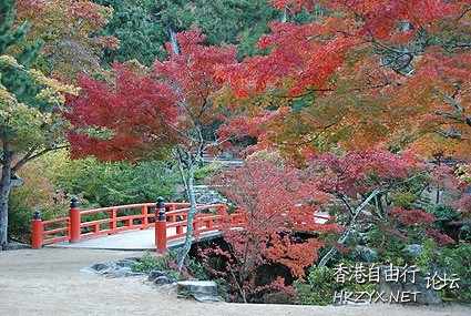 濟南紅葉谷  ChinaTravel 中國觀光景點