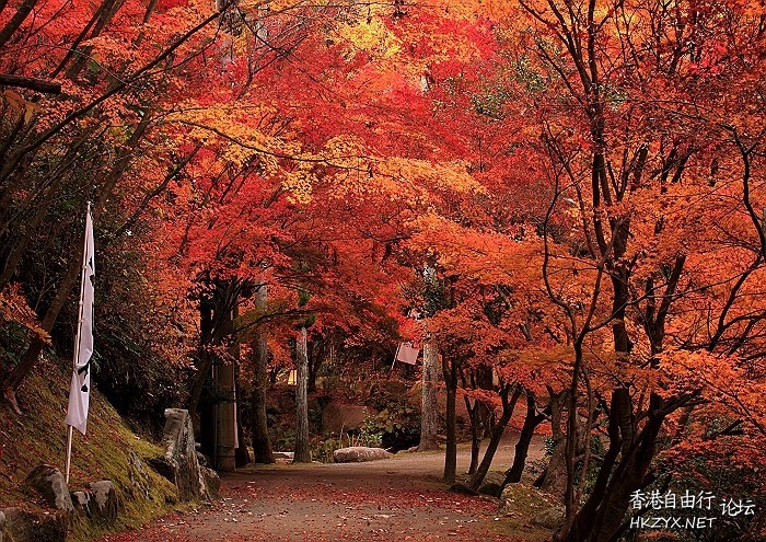 濟南紅葉谷  ChinaTravel 中國觀光景點
