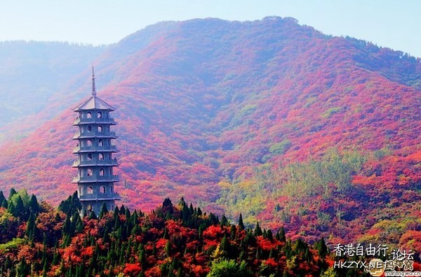濟南紅葉谷  ChinaTravel 中國觀光景點