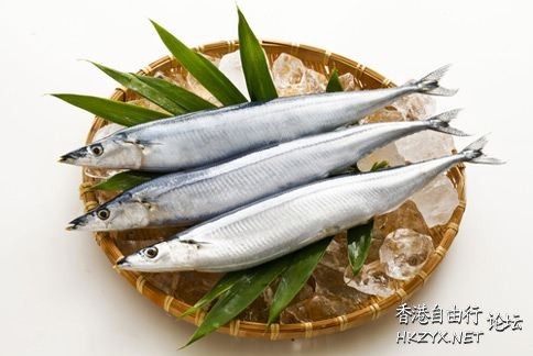秋刀魚苦內臟防老化  内科防治室