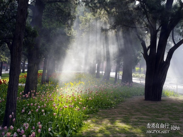 晨雾不會令你迷惘  貼上 精華分享