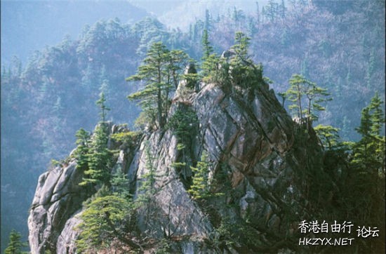 南非桌山国家公园  World Trave...欧美