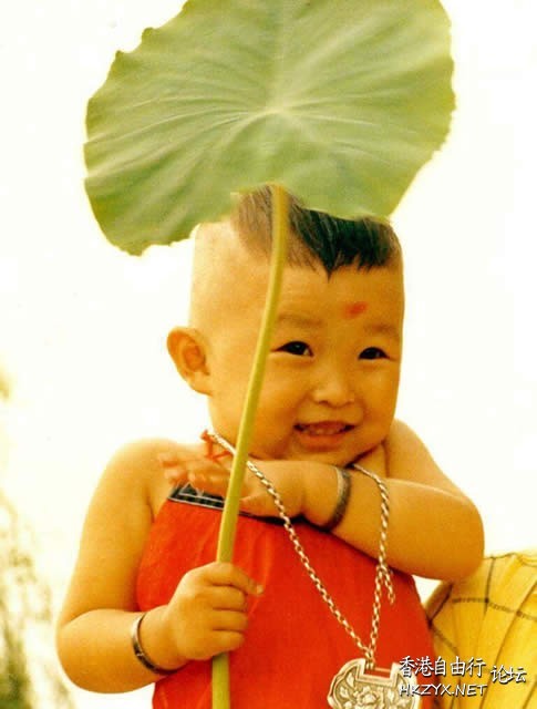   Baby 虾仔虾女