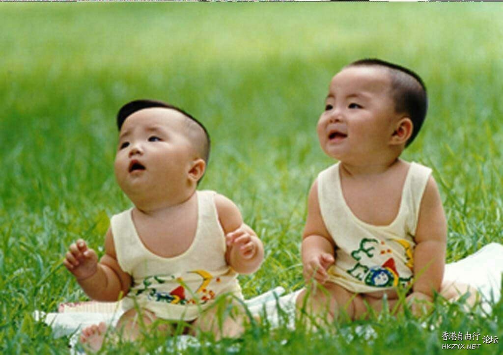   Baby 虾仔虾女