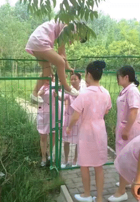 不骗你真的很好笑   一天三笑 + 解悶處