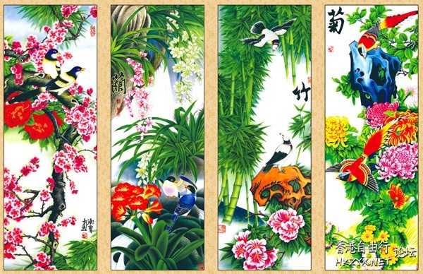 精彩拍摄-君子菊  Flowers花卉