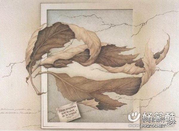美女葉中尋  解悶園地