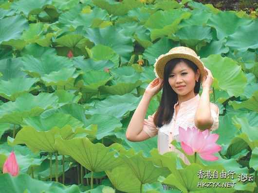 出於污泥而不染  Flowers花卉