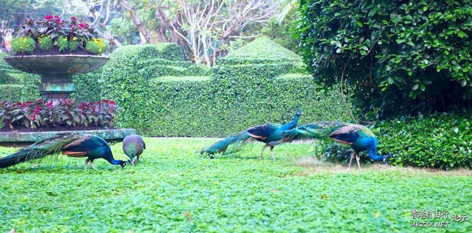香港動植物公園  香港旅游專線