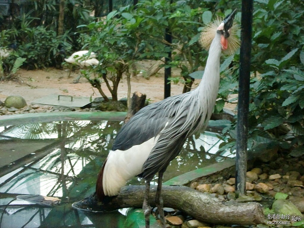 香港動植物公園  香港旅游專線