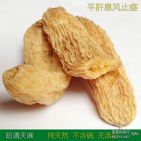 天麻是治療眩暈頭痛要藥  中藥用途分析