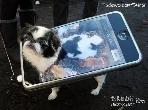 Dog: 我的高難度  Pets 寵物護理 +紀念堂