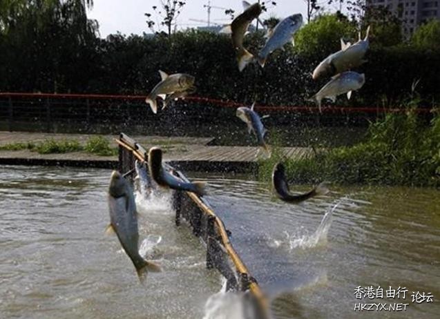 地震前的离奇现象  世界奇闻