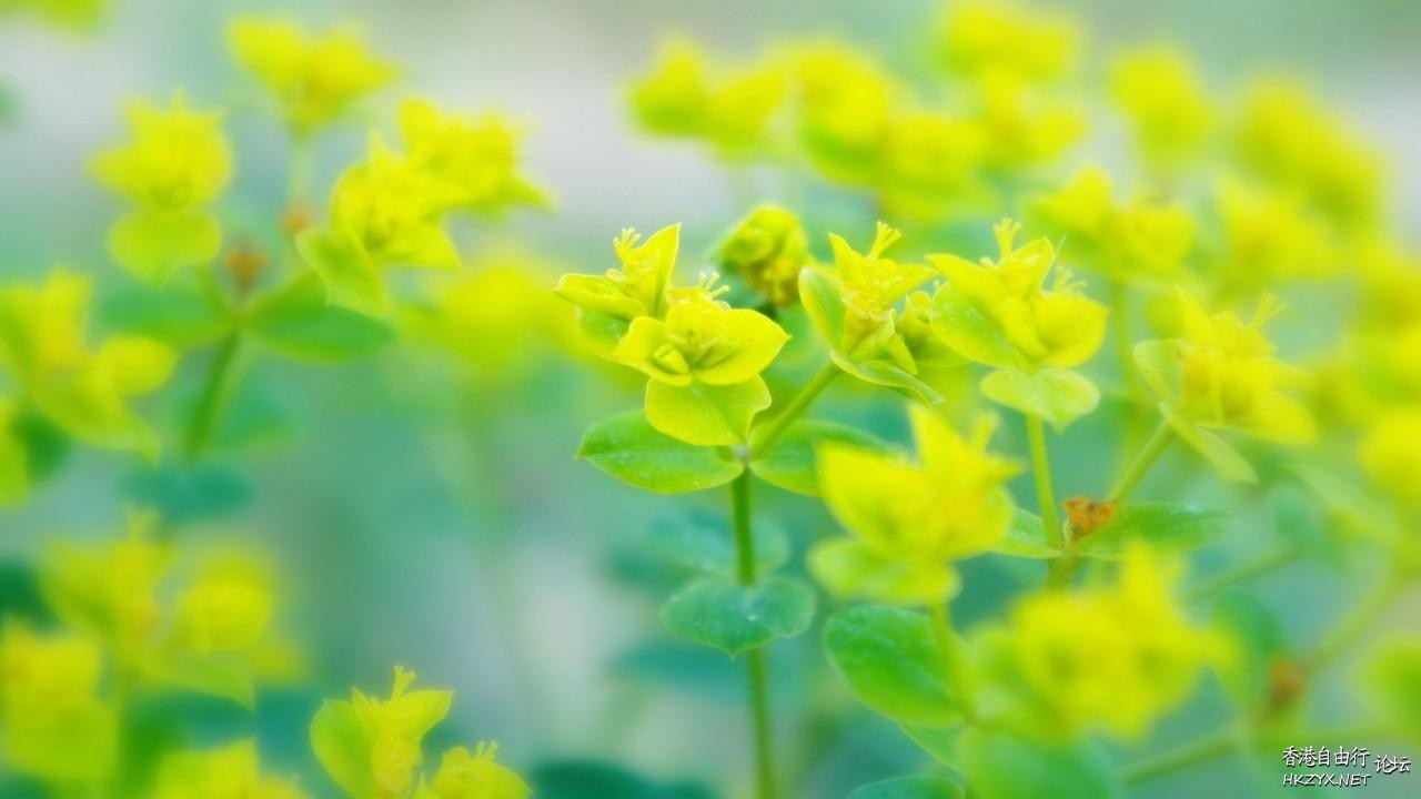 高清美妙攝影  貼上 精華分享