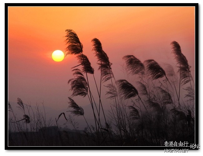   Sunset 夕陽
