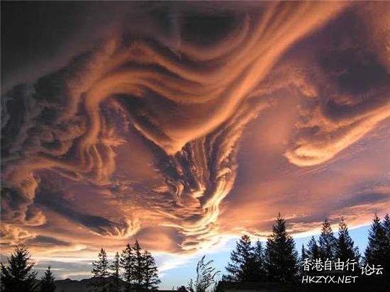   貼上 精華分享