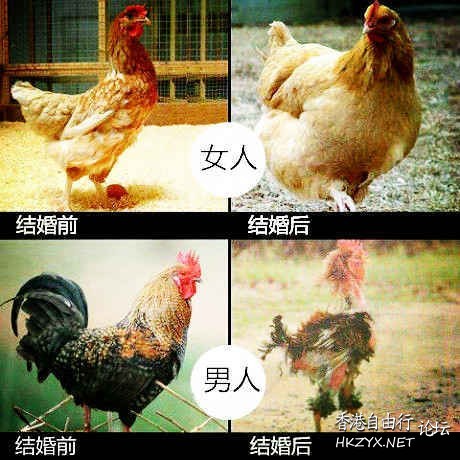 冇悶天地爆笑  解悶園地