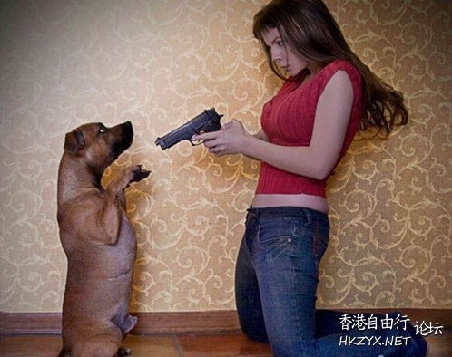  Pets 寵物護理 +紀念堂