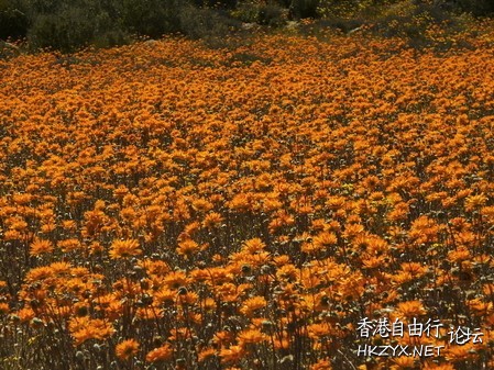 非洲-納馬誇蘭  World Trave...欧美