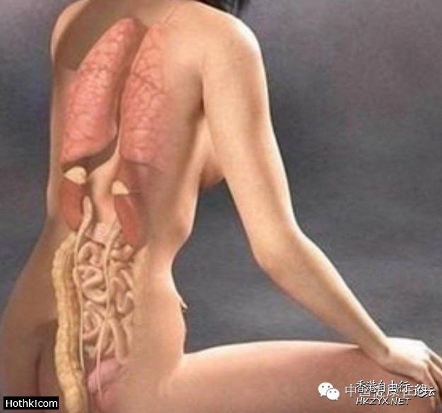 人體自癒的秘密  医学常識