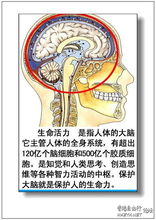   医学常識