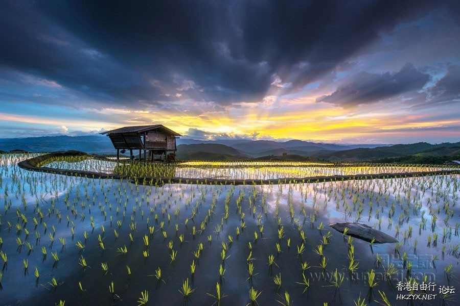   Photography 攝影特區