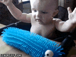 FOR LAUGHS BABY TOUCHING  Funny Baby
