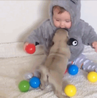 FOR LAUGHS BABY TOUCHING  Funny Baby