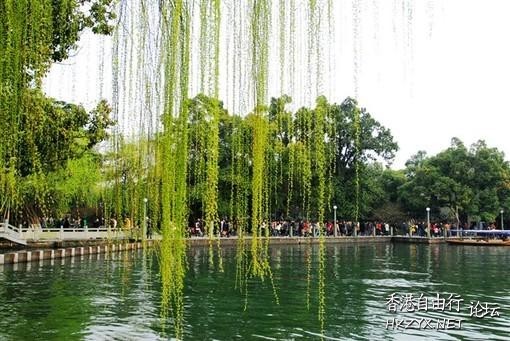 西湖美景惹人醉  ChinaTravel 中國觀光景點