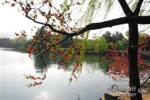 西湖美景惹人醉  ChinaTravel 中國觀光景點