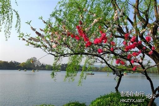 西湖美景惹人醉  ChinaTravel 中國觀光景點