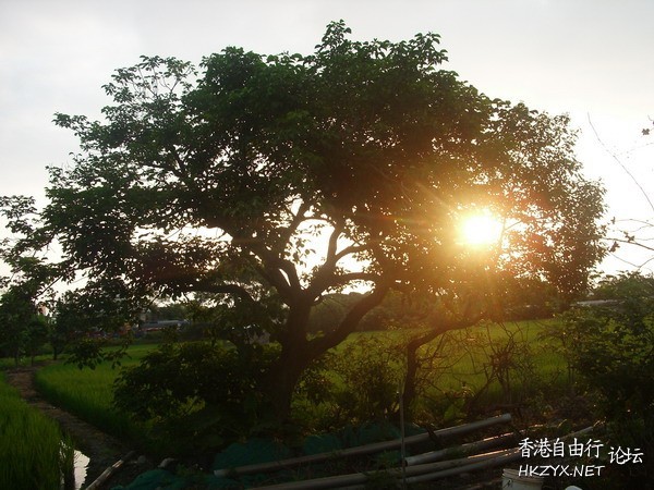 多點感悟， 多點感動，  山水花林啓唔人生