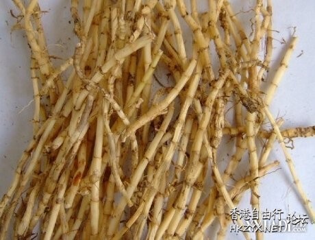 白茅根的功效與作用  中藥用途分析