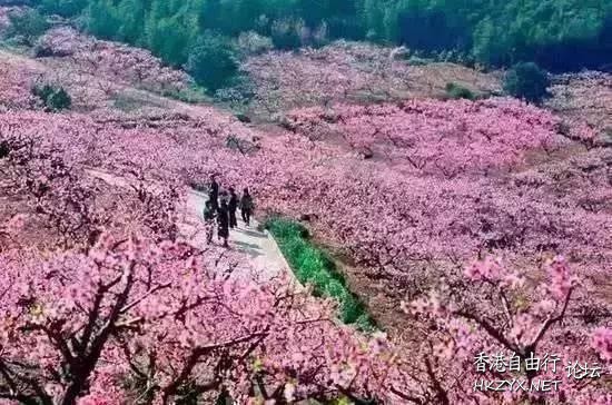 有了夢想才會努力奮鬥  Philosophy of life感悟人生