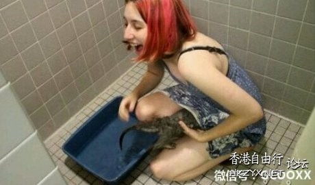 熊公：永遠咁愛您！  Pets 寵物護理 +紀念堂