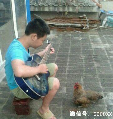Come and answer !  Nonsensical 無厘頭图片