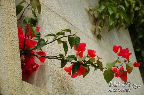 “1成夫妻同時出軌”  愛情感悟