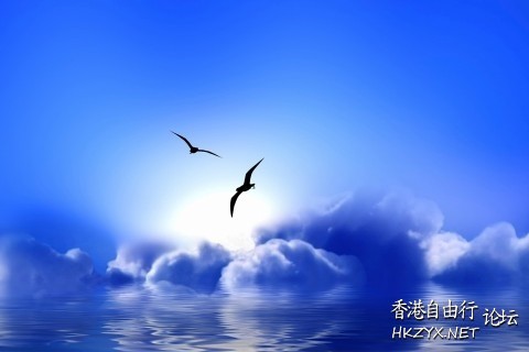 我看到萬物有靈  文学欣賞
