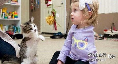 無厘頭图片 : Nonsense  Nonsensical 無厘頭图片