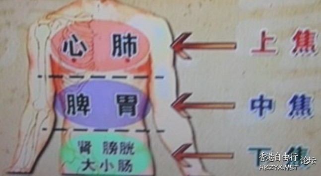 三焦，掌管健康美丽  中藥問症